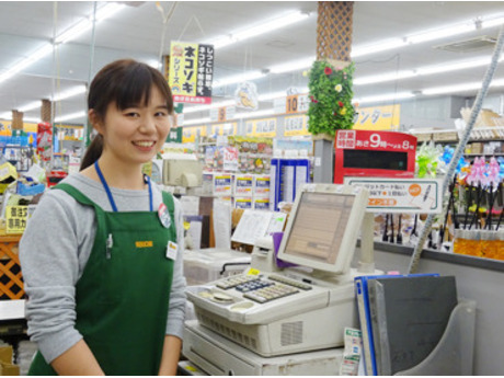 セキチュー花園インター店 レジの募集詳細